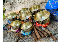 Shiny Singing Bowl Set of 7- Chakra Healing singing bowl set