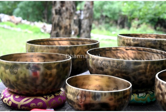 Tuned Full Moon Singing Bowl Set – 7 Chakra Healing Bowls