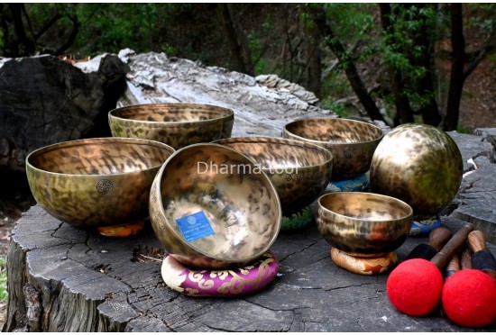 Tuned Full Moon Singing Bowl Set – 7 Chakra Healing Bowls