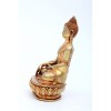 Shakyamuni Buddha Statue Shakyamuni Buddha Statue
