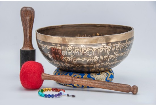 Buddha Eyes Tibetan Singing Bowl with Full Tibetan Mantra & Endless Knot