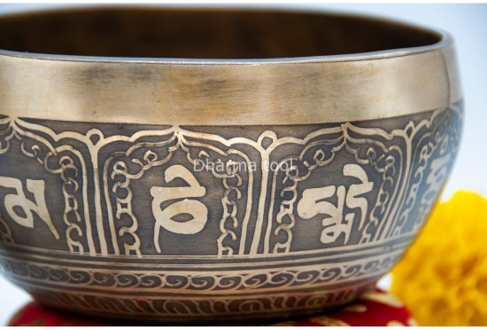 Dharma Chakra Tibetan Singing Bowl with Tibetan Mantra & Buddha Eyes Symbol