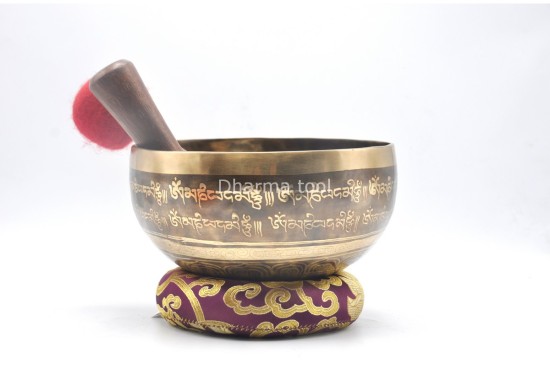 Tibetan Mantra Wheel Singing Bowl with Endless Knot Design