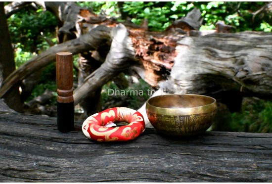 Mini Mantra Etched Tibetan Singing Bowl – 4-Inch Palm Size Meditation Bowl