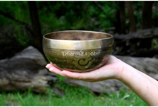 Palm Size Mantra-Carved Tibetan Singing Bowl – Multiple Size Options (5 & 6 Inches)