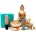DHARMA TOOLS