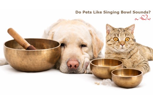 Singing Bowls and Pets: How Dogs and Cats React to Sound and Vibration