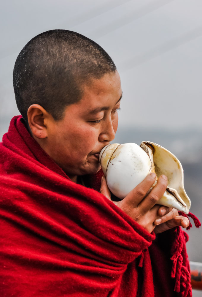 Conch Shell Dharma Tool