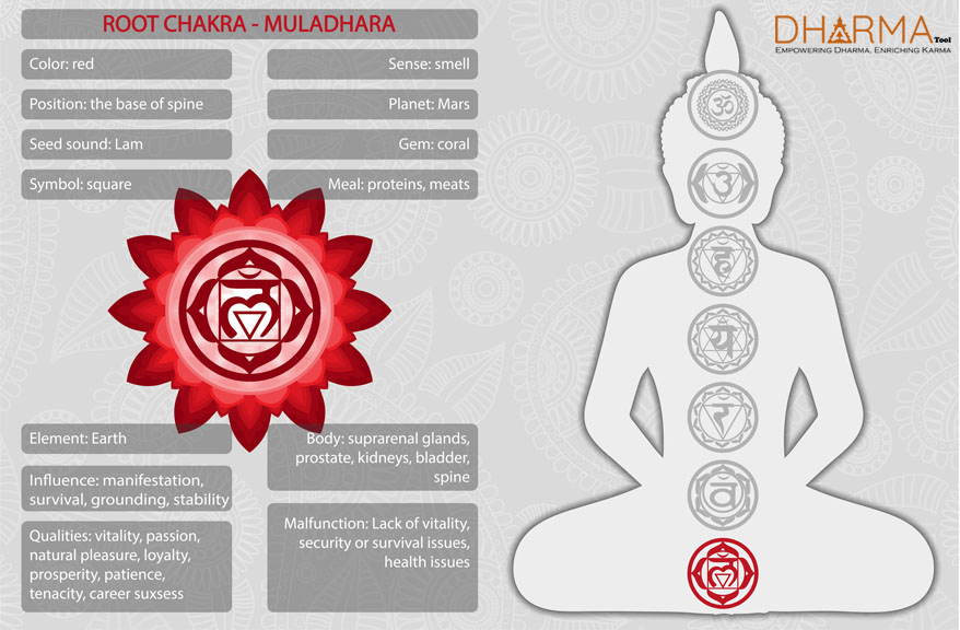 Root Chakra Information